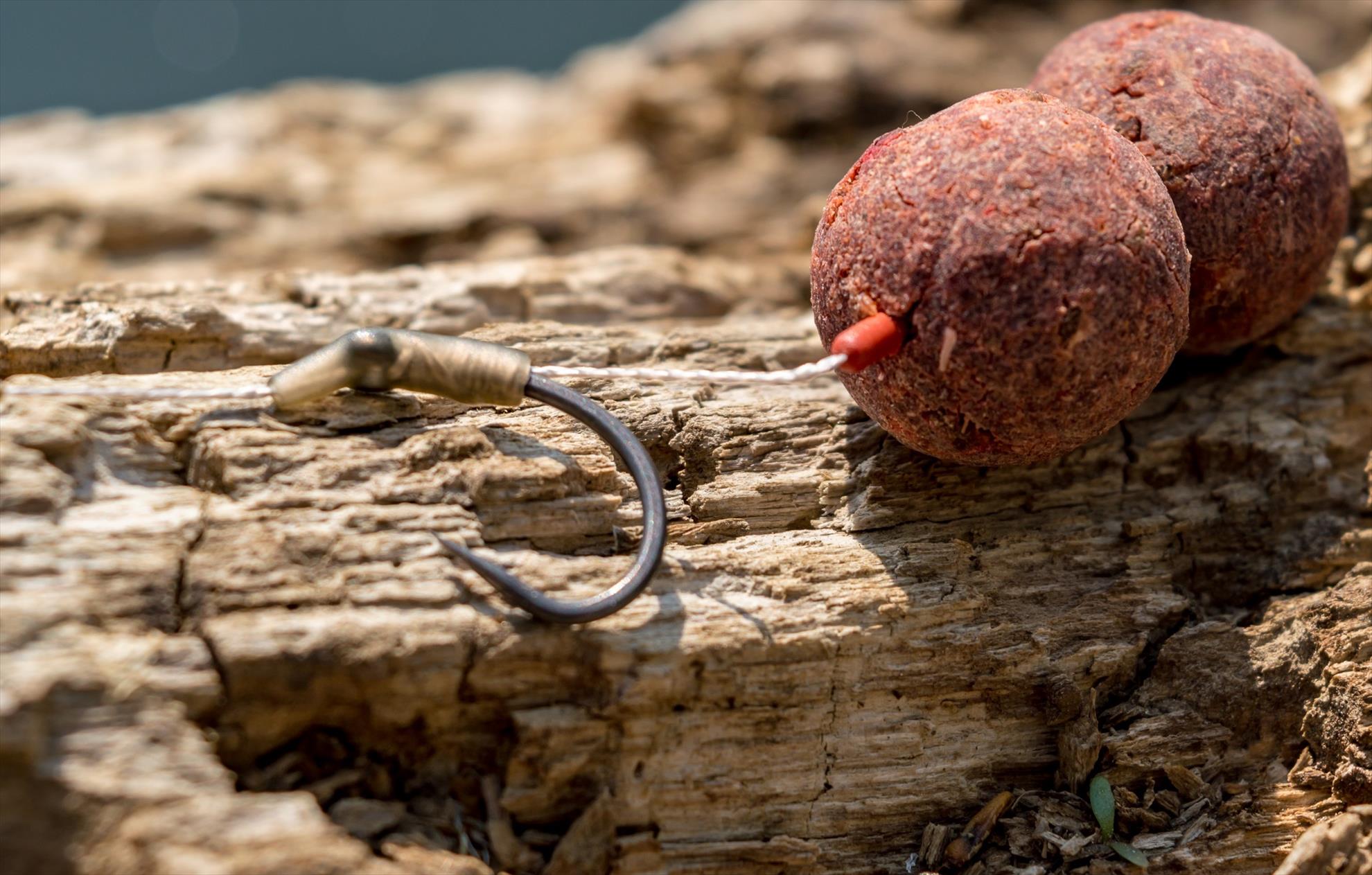 Carlige de crap, bilant la sfarsit de sezon.